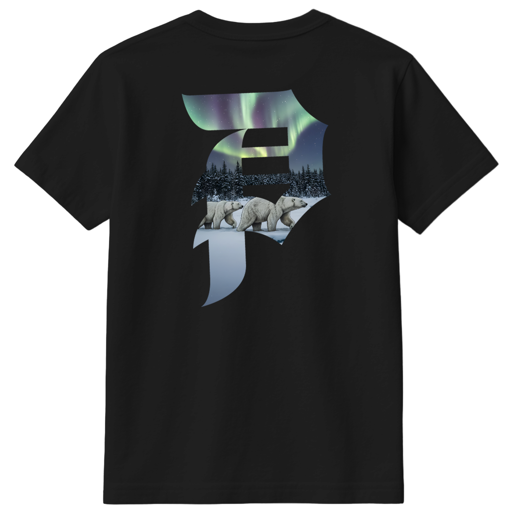 06-PRIMITIVEXMEHRATHON-NORTHERNLIGHTSTEE-BLACK-BACK.png