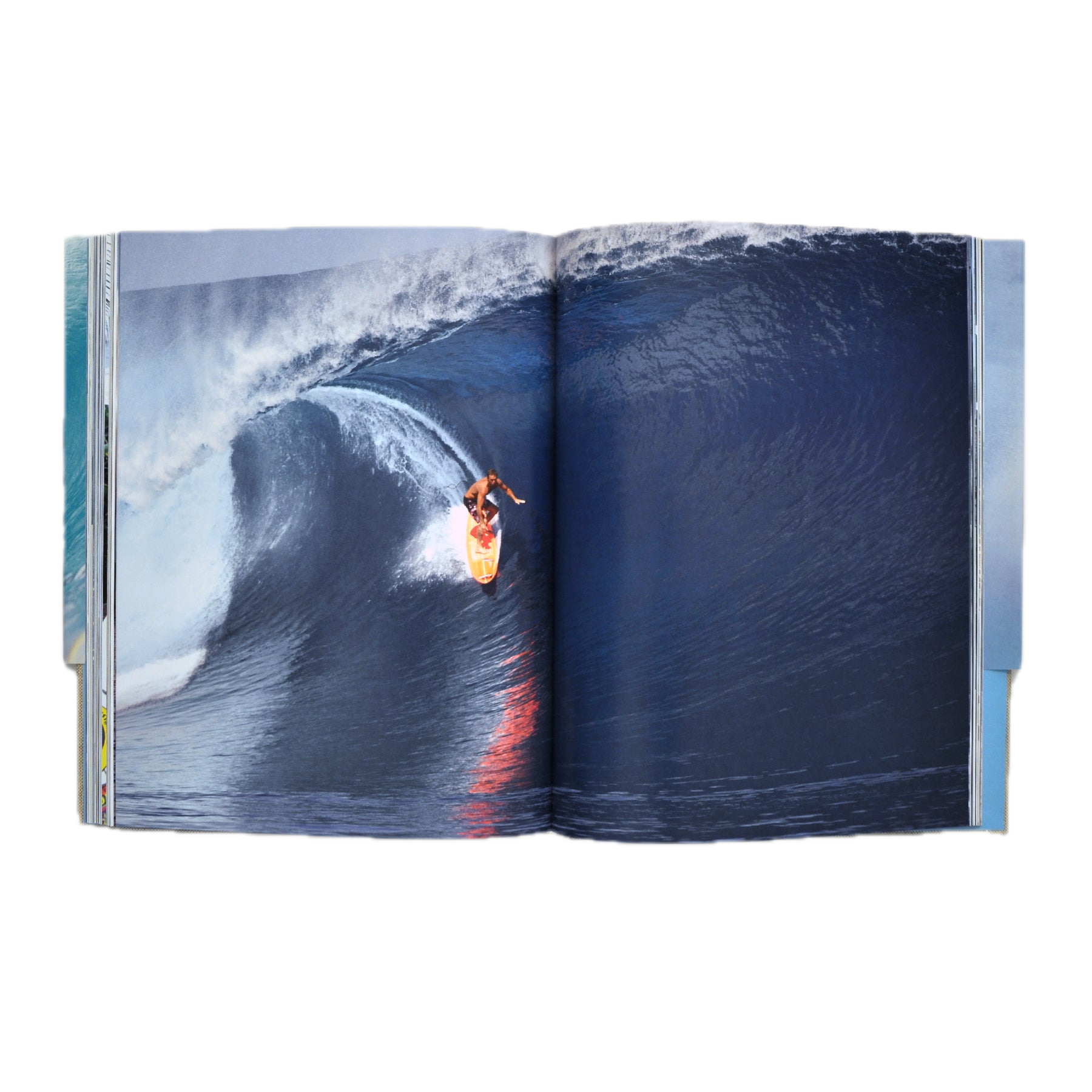BOOKFLETCHd_1800x_b4af4120-40b6-4eb2-80e7-ba74645cae3e.png