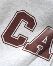 Campus Zip-Thru Hood - Ash