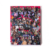 Issue 6